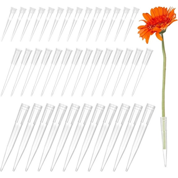 Tutuviw 60PCs Plastic Flower Stems Tube Holder,Clear Floral Tubes,Mini Floral Water Tubes,Flower Vials for Plants Fresh Flowers Arrangement Decoration Milkweed Cutting Florist Supplies