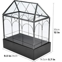 DYJP Large Glass Terrarium with Metal Tray, Glass Greenhouse Terrarium, Succulent Terrarium Kit for Succulents, Cacti, Snails, Spiders, and Miniature Reptiles, Black (Velvet Bottom)