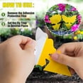 thumbnail image 4 of 30 Pack Viscous Traps for Indoor Outdoor Natural Pest Control, Fruit Fly Trap and Fungus Gnat Traps for House Plants, Whitefly, Mosquito Bits, Flying Insects, 4 of 10