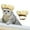 Gold, variant on Pet Hats for Dogs Cats Shower Cap With Adjustable Strap - Protective Headwear for Bath no- Sizing