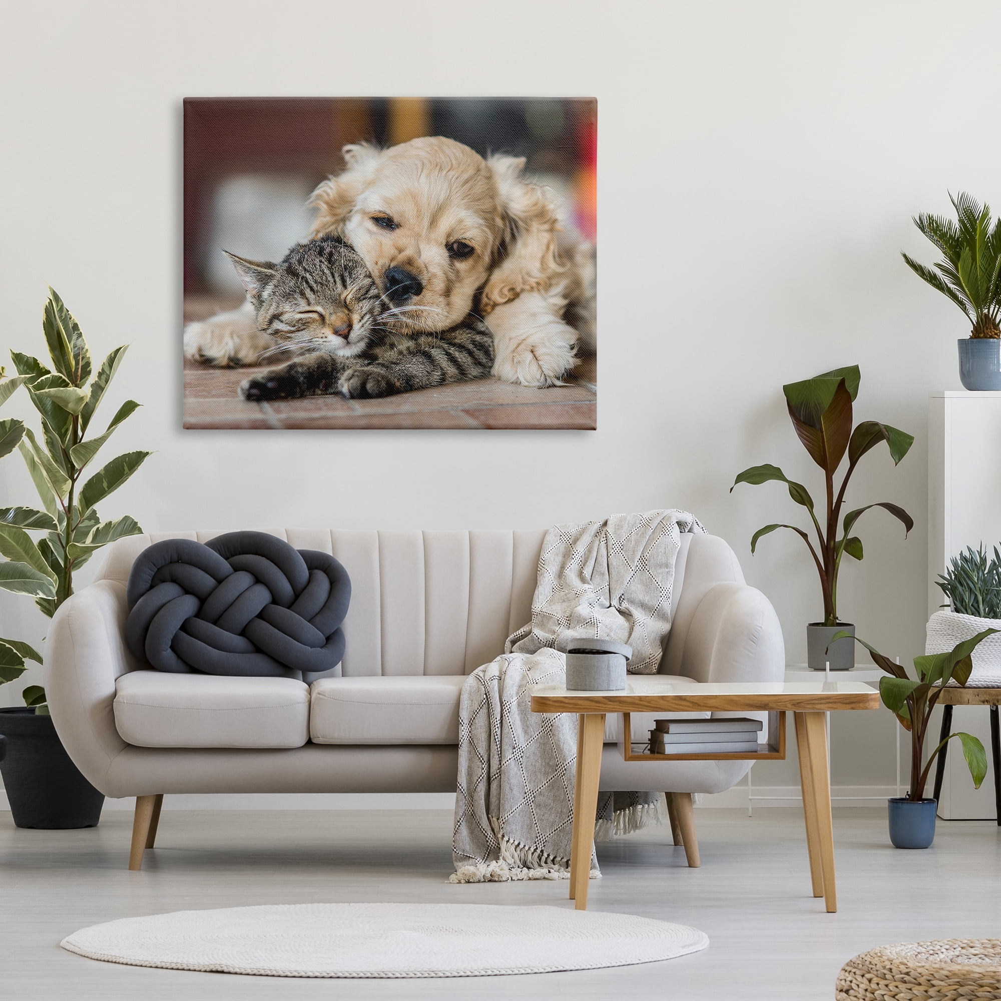 Stupell Industries Cat & Puppy Cuddling Animals & Insects Photography Gallery Wrapped Canvas Art Print Wall Art, 48 x 36