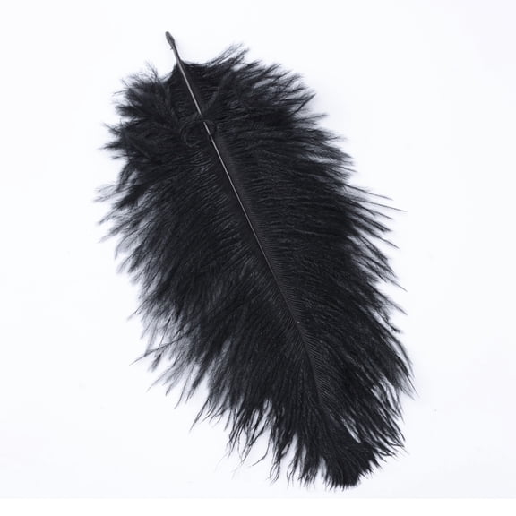 100 pc Ostrich Feather Costume Accessories Dyed Black 15~20cm