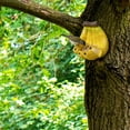 thumbnail image 4 of Banana Shaped Resin Bird Feeder, No Spill Bird Feeder, Automatic Bird Feeder, Durable Outdoor Yard Patio Wildlife Feeding Station for Birds, Novelty Hanging Seed Tray 1Pcs, 4 of 9