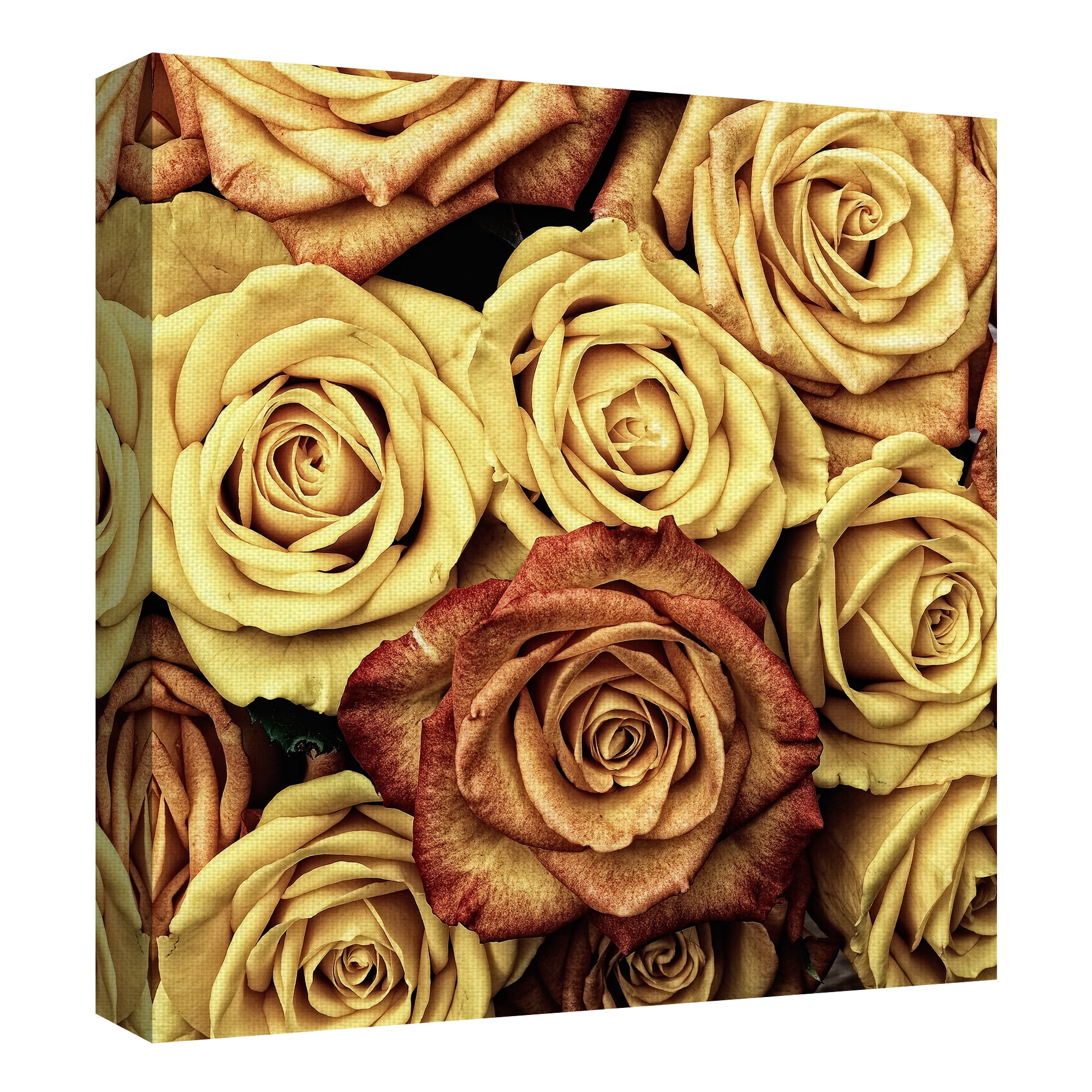 Masterpiece Art Gallery Amber Roses by Lobo Studio Canvas Art Print 24" x 24"