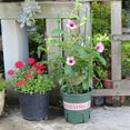 thumbnail image 4 of Xingzhi ABS Premium Plant And Durable For Sturdy Growth Climbing Frame Climbing Frame And Long-Term Use Climbing Frame 45 turns high and 28, 4 of 9