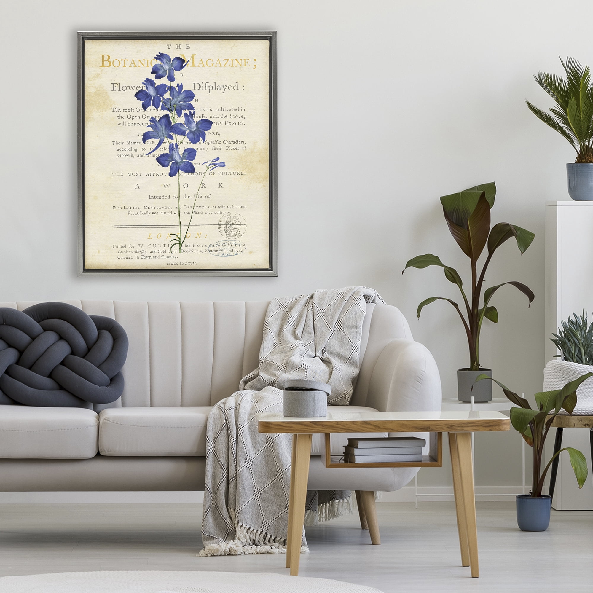 Stupell Industries Natural Botanic Garden Flower Gray Framed Floater Canvas Wall Art, design by Susan Arnot