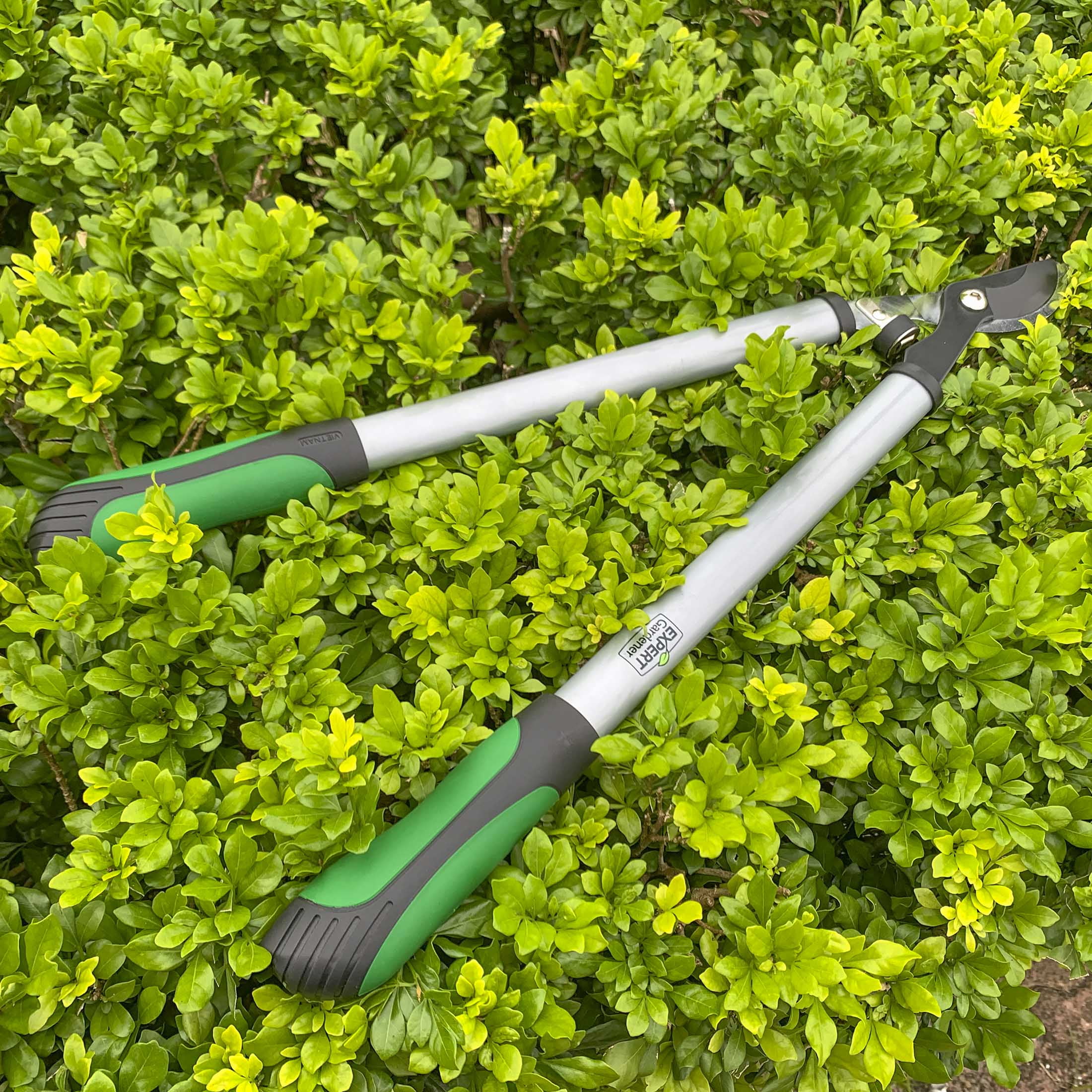 Expert Gardener 24 in Steel Bypass Lopper, 1 in Cutting Capacity, Green and Black
