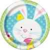 Spring Easter Bunny Party Supplies