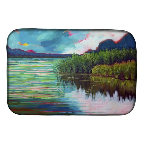 Moved upon the Water Dish Drying Mat