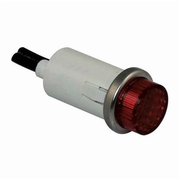 Dayton Raised Indicator Light,Red,24V 22NY42