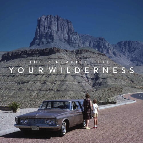 Pineapple Thief - Your Wilderness - Music & Performance - CD