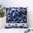 thumbnail image 4 of Pofeuu Blueberry Print Double-sided plush pillowcase Square Throw Pillow Covers Pillows Cover for Living Room Bedroom Sofa Couch Cushion Cover（No pillow core）-26"x26", 4 of 7