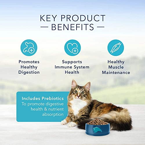 Blue buffalo sensitive clearance stomach cat food walmart