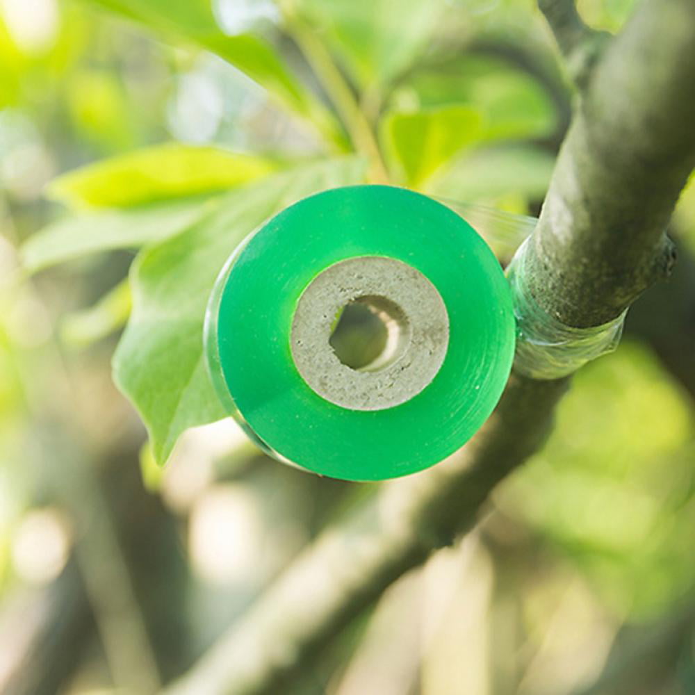 Amaoma 2 Pieces Grafting Tape Self-Adhesive Nursery Stretchable Garden Flower Vegetable Grafting Tapes Fruit Tree Grafting Films Plants Tools for Garden Tree Seedling 2cm*100m Green
