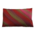 thumbnail image 1 of Ahgly Company Indoor Rectangular Contemporary Lumbar Throw Pillow, 13 inch by 19 inch, 1 of 5