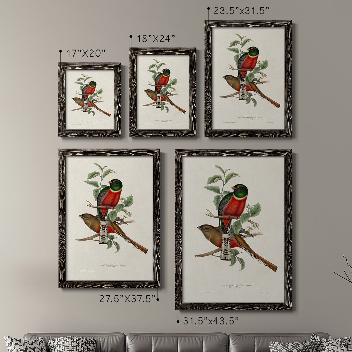 Elegant Trogons I - Premium Framed Canvas 2 Piece Set - Ready to Hang