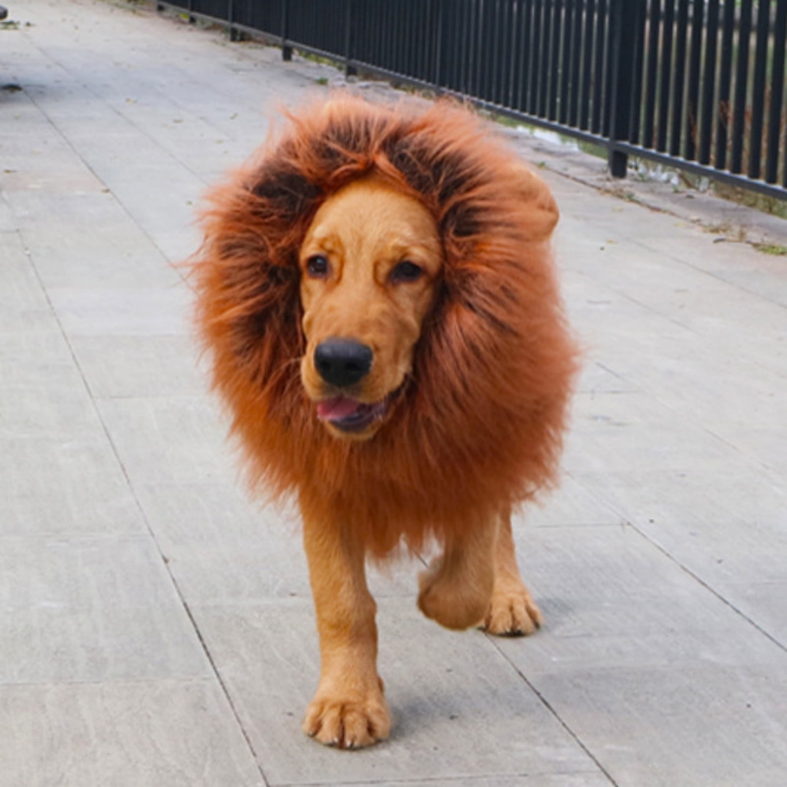 Halloween Pet Lion Head Wig with Tail for Dog Costume Accessory