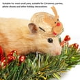 thumbnail image 2 of <p>Small Pets Hat, Adjustable Buckle Strap Cute Durable Bearded Dragon Hat Lightweight  For Guinea Pig</p>, 2 of 7
