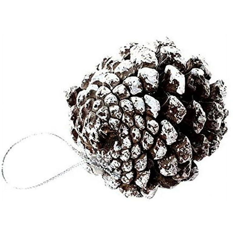 Durable and Versatile: 6 Pcs Frosted Pine Cones for Indoor and Outdoor Decorating - 6 Pcs, Size: One Size