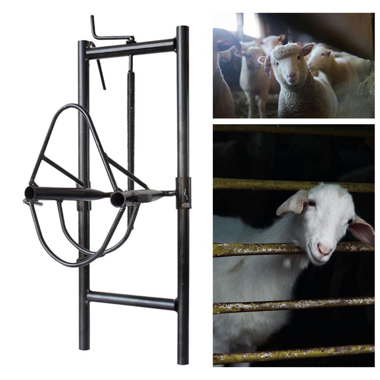 SunniMix Liftable Sheep Head Holder Sheep Head Fixture Easy