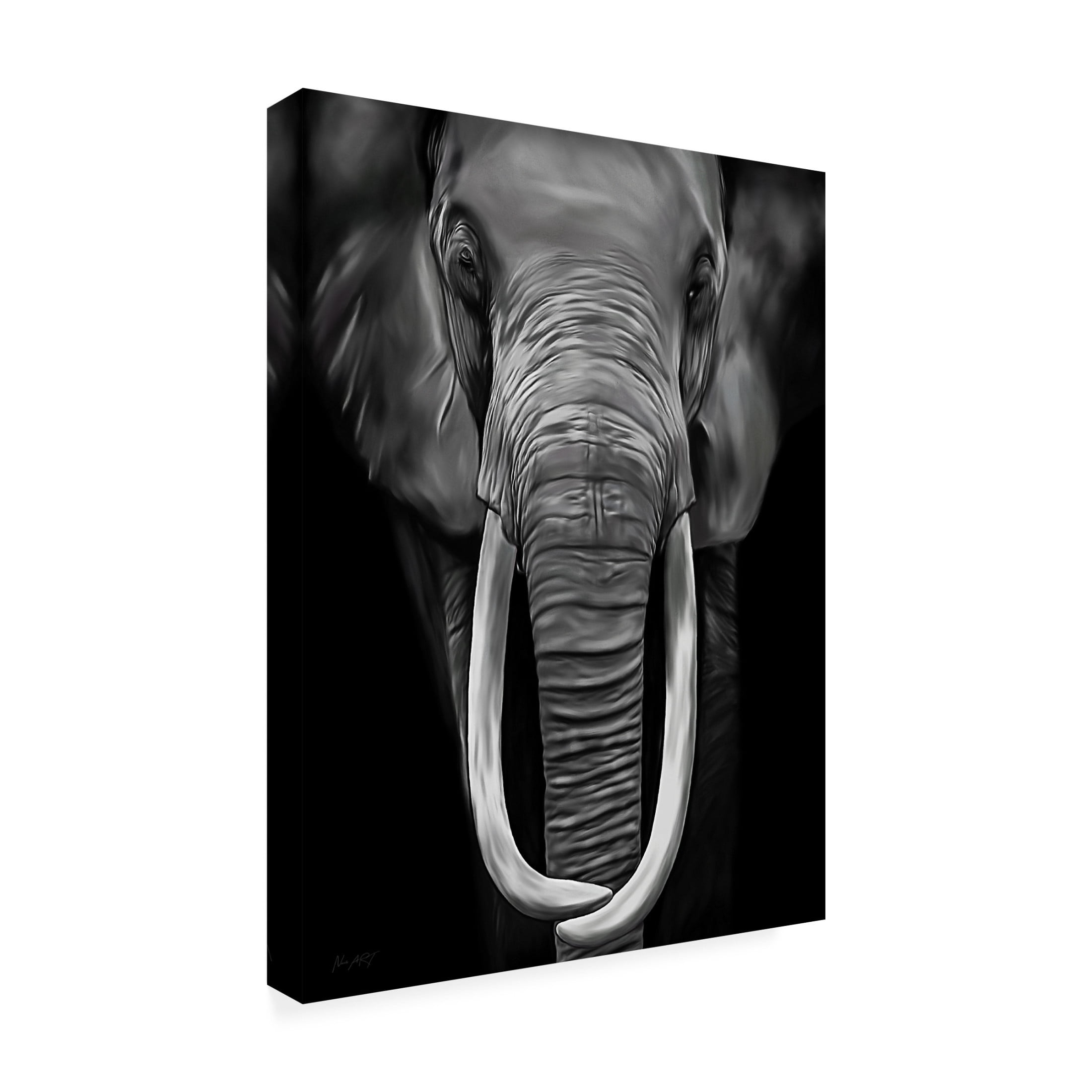 Trademark Fine Art Lord Amihere Loxodonta Canvas Wall Art