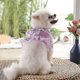 thumbnail image 5 of M Correa para perro, arnés de flores rosa estéreo transpirable, juego de correa para perro Gato, cachorro, 5 of 5