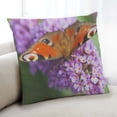 thumbnail image 1 of Ahgly Company Insects Butterfly Indoor Throw Pillow, 18 inch by 18 inch, 1 of 6
