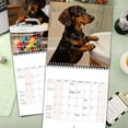 thumbnail image 4 of StlyGar Puppy Calendar 2026 Wall Monthly Dachshunds Gifts For Lovers Women Men Mom Dad（8.3x8.3",1pcs), 4 of 6