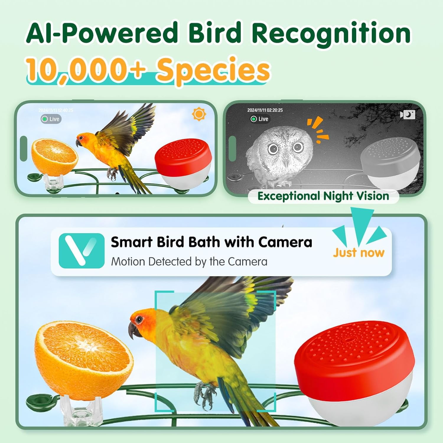 NixiYa Smart Bird Feeder with Camera and Bird Bath, Solar Powered Outdoor Feeder, AI Bird Identification, App Notifications