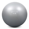 thumbnail image 1 of Weighted Toning Exercise Balls, 1 of 1