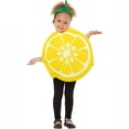 thumbnail image 2 of Gunia Kids Vegetables Fruits Costume For Boys Girls Cosplay Halloween Costumes Role Play Dress Up Outfits Stage Performance Holiday Party Wear,Yellow, 2 of 5