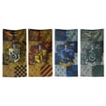 thumbnail image 1 of Pancartas para colgar en la pared, Bandera de fiesta para interiores y exteriores, Ultra Premium, Gryffindor, Slytherin, Hufflepuff, Ravenclaw, 1 of 3