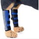 thumbnail image 1 of (Blue M)2 Pack Dog Ankle Joint Protector Bandages - 1 Pair Dog Bandage - Dog Knee Brace - Dog Leg Sleeves, 1 of 5