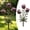 z_B*2, variant on Whimsical Metal Carnivorous Plant Garden Stake Large Venus Fly Trap Live Plant Sculpture Outdoor Yard Art Venus Flytrap Decor for Flower Beds Patios