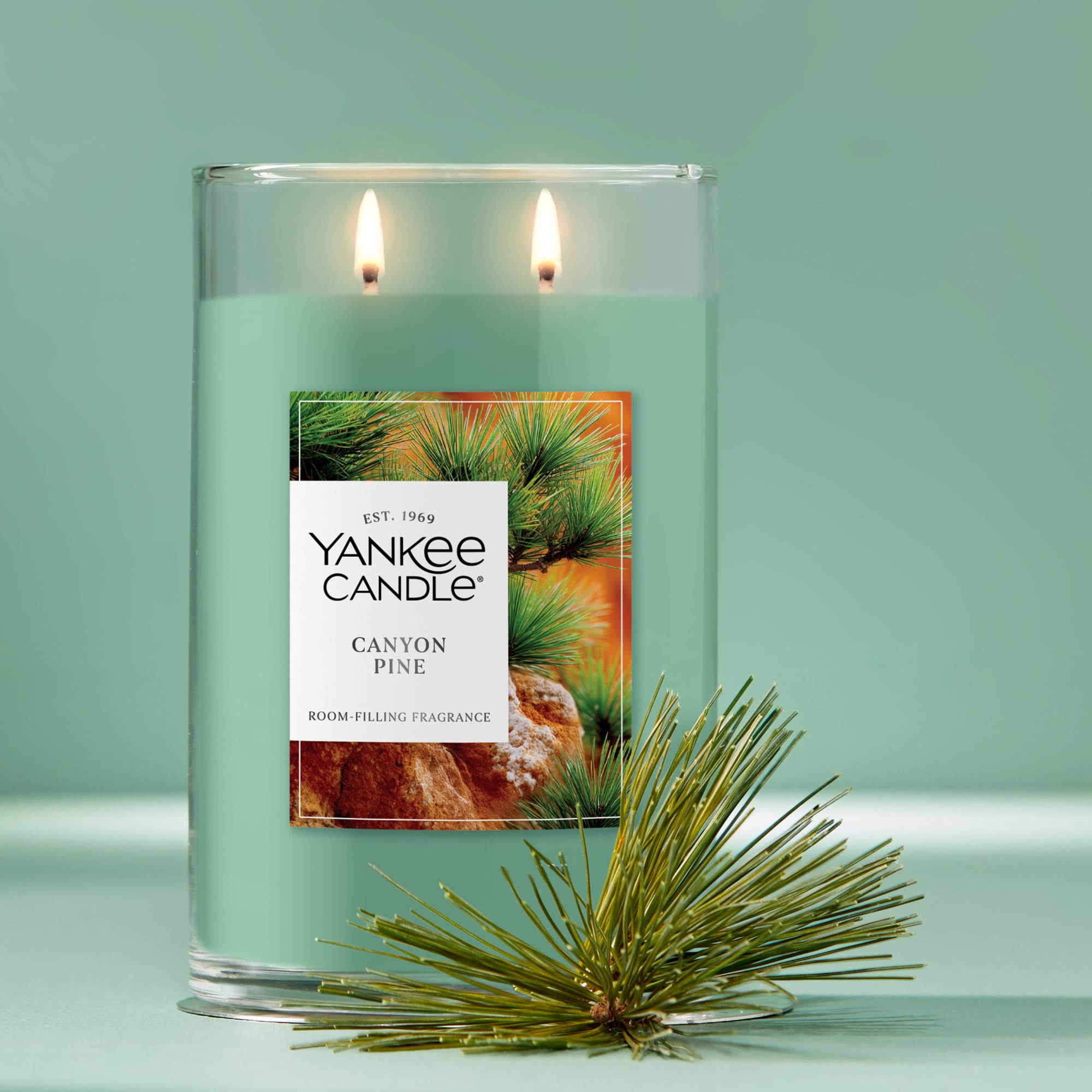 Yankee Candle Canyon Pine Large Tumbler Scented Candles, 20 oz