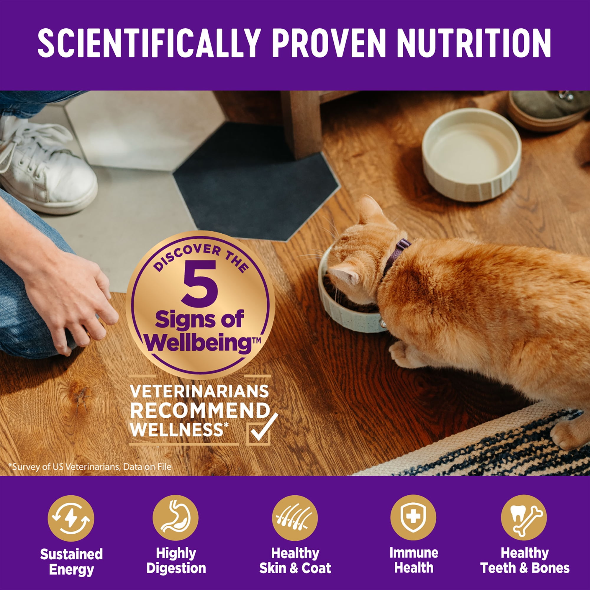 Wellness Complete Health Healthy Weight Adult Dry Cat Food for Indoor Cats, Natural, Grain Free Kibble, Chicken & Turkey Recipe, 5.5 lb Bag