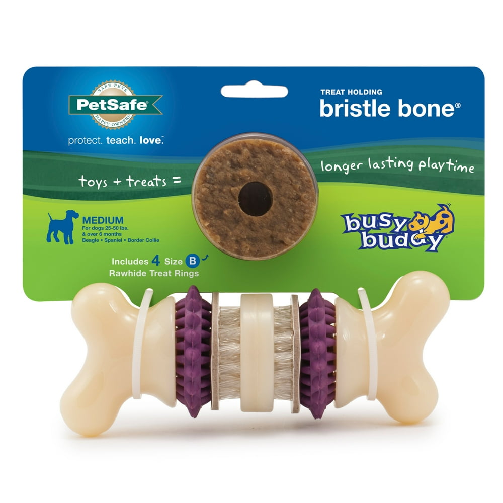 PetSafe Busy Buddy Bristle Bone, Medium
