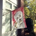 thumbnail image 2 of Carolines Treasures CK1393CHF Dandie Dinmont Love Flag Canvas House Size  Large multicolor, 2 of 4