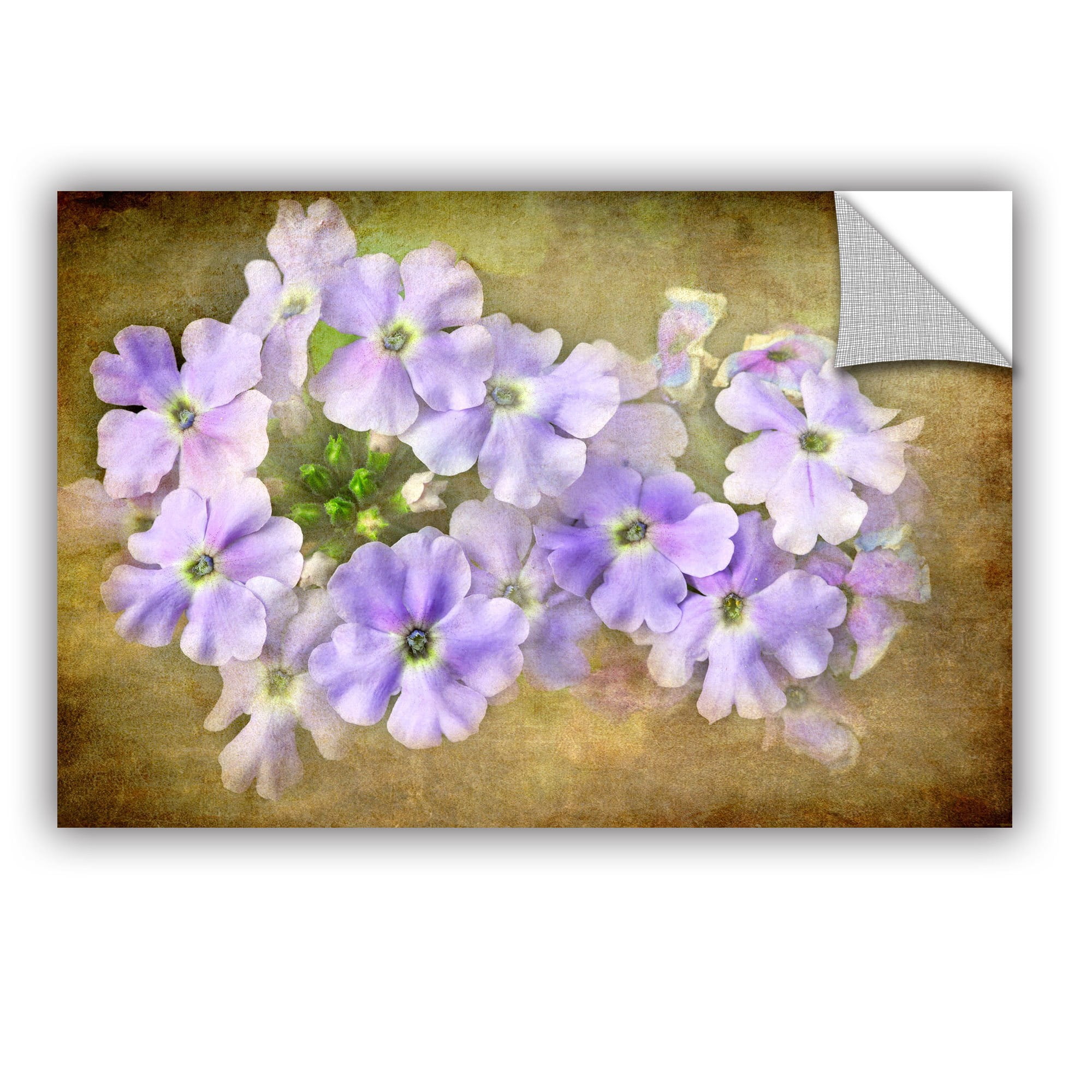 ArtWall Antonio Raggio  ' Shades Of Violet ' Art Appealz Removable Wall Art