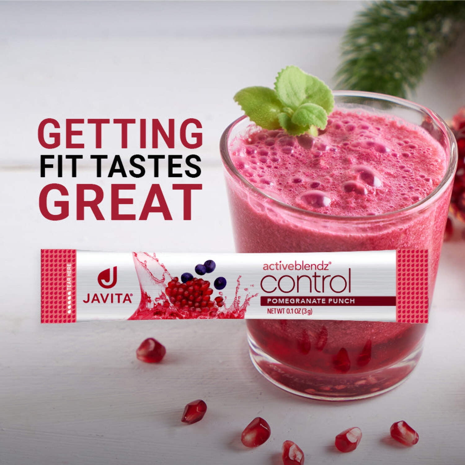 Javita ActiveBlendz Control Pomegranate Powder Drink - Instant Fruit Beverage Made from Grape & Pomegranate with Garcinia Cambogia & Gymnema Sylvestre-24 sticks