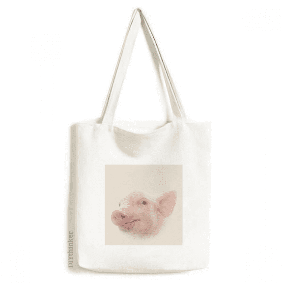 Pork Nose Eyes Art Deco Fashion Tote Canvas Bag Shopping Satchel Casual Handbag