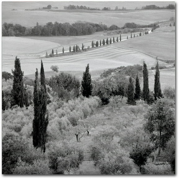 Trademark Fine Art "Tuscany X" Canvas Art by Alan Blaustein