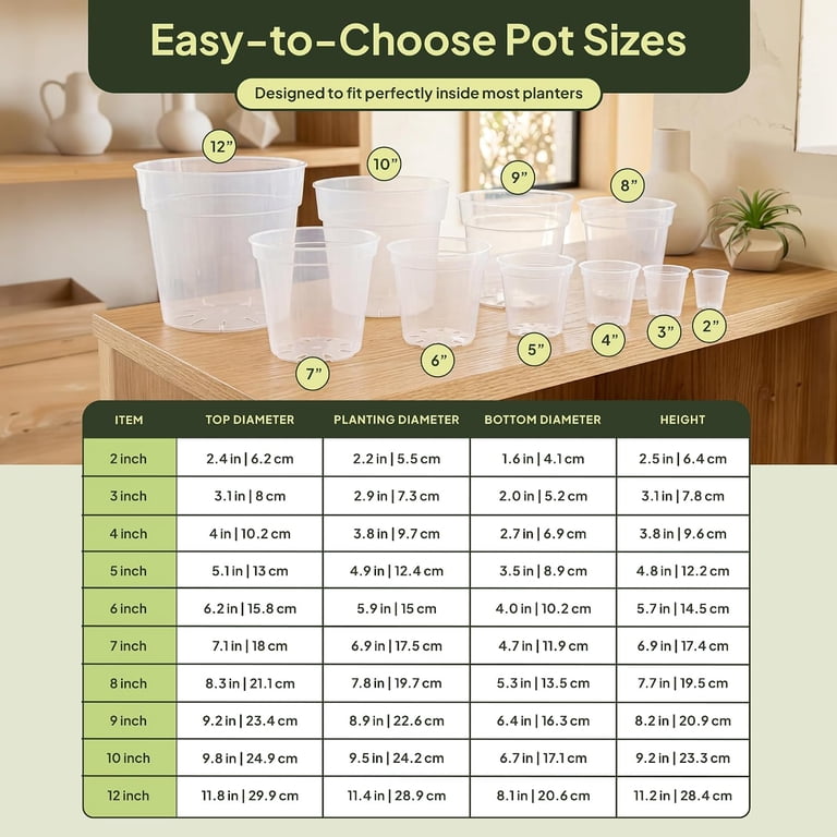 6 Inch Size 6 Inch Clear Nursery Pots with Drainage | in Multiple Sizes Small ...