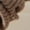 Khaki, variant on Beige Socks Winter Women Keep Warm Solid Socks Knitting Warm Anklets Leggings Socks