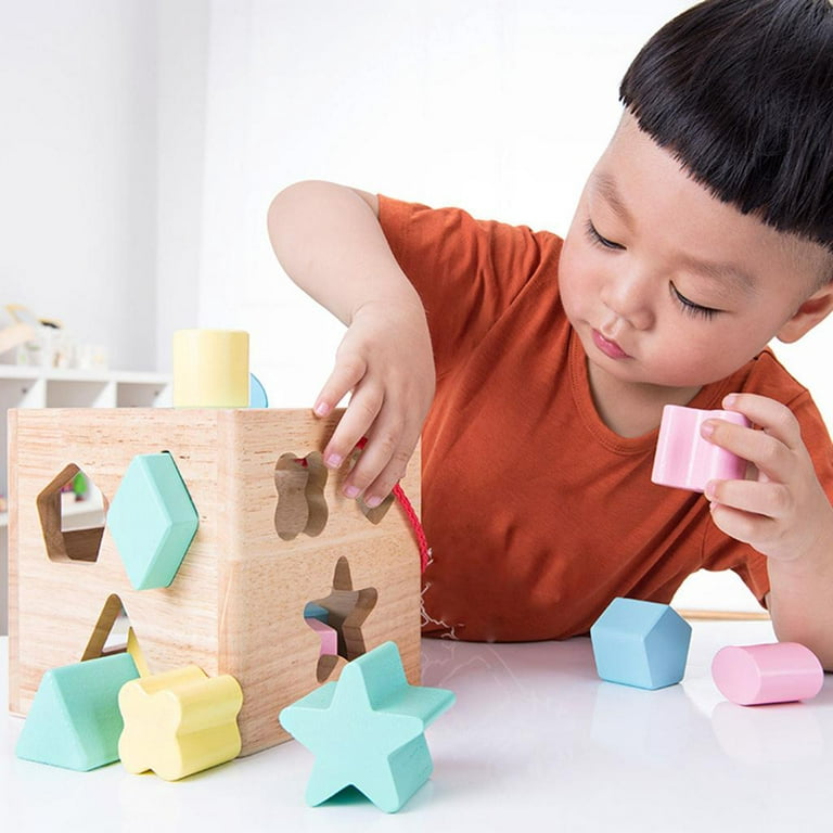 Block Toys Shape Sorter Puzzle Box Baby Toddler Buildings Educational Gifts  USA