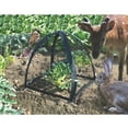 thumbnail image 5 of NuVue Products 32103 Pop-Up Garden Netting Pest Guard Mesh Plant Cover Tents for Pest and Animal Control, Pack of 2, Black, 36" x 36" x 38", 5 of 6