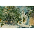 thumbnail image 3 of Homer, Winslow 24x17 Black Modern Framed Museum Art Print Titled - Orange trees and gate, 3 of 5