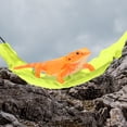 thumbnail image 3 of Unique Bargains Bearded Dragon Hammock Lizard Hammock with Suction Cups and Hooks Bearded Dragon Tank Accessories Reptile Lounger for Chameleon Geckos 1 Set Fluorescent Yellow, 3 of 7