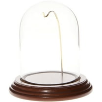 Plymor 3" x 4" Watch Small Glass Display Dome Cloche (Walnut Veneer Base & Gold Wire)
