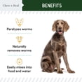 thumbnail image 3 of Chew + Heal Puppy and Dog Dewormer - 12 oz - Wormer Liquid to Paralyze and Expel Roundworms - Great for Cats and Kittens, 3 of 10